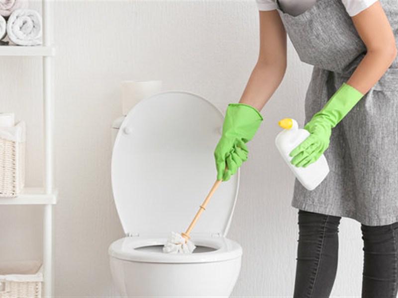 Toilet Cleaning